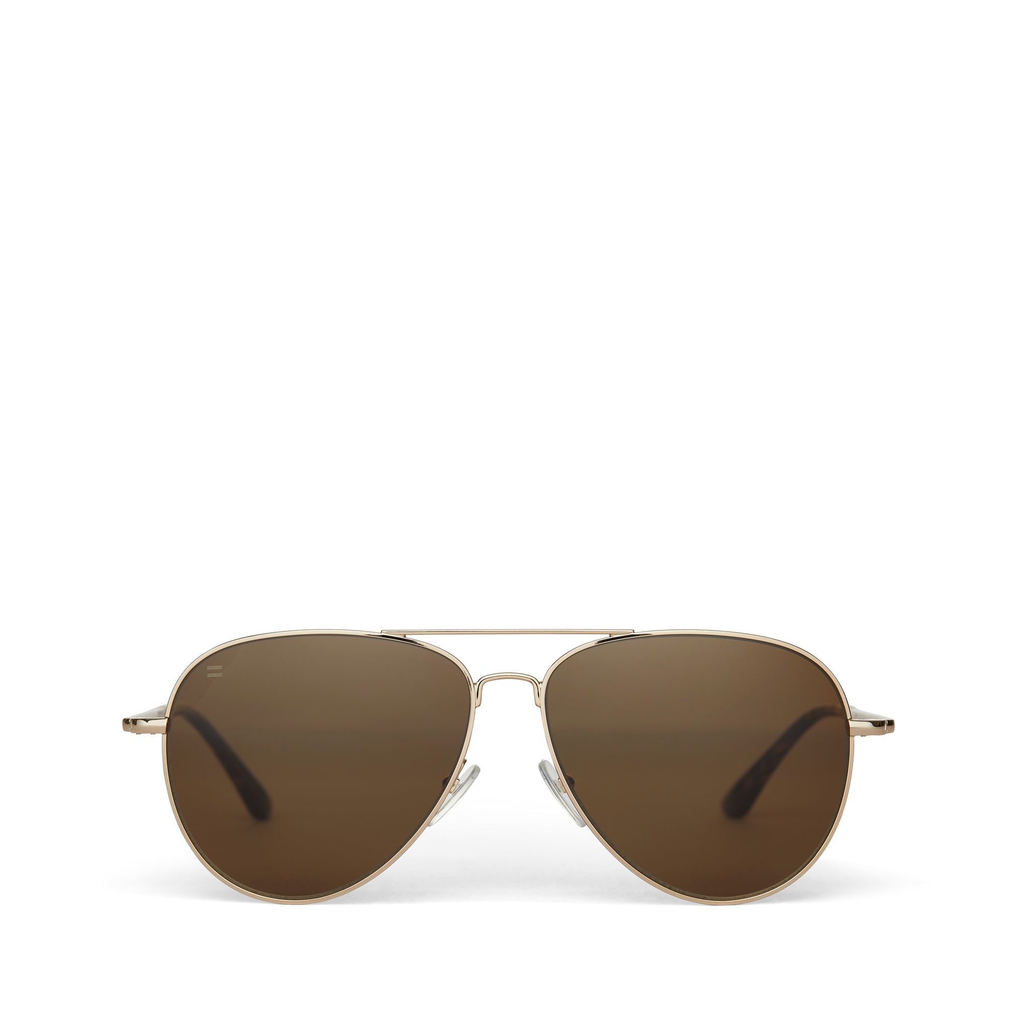 Hudson Shiny Gold Frame Solid Brown Polarized Lens