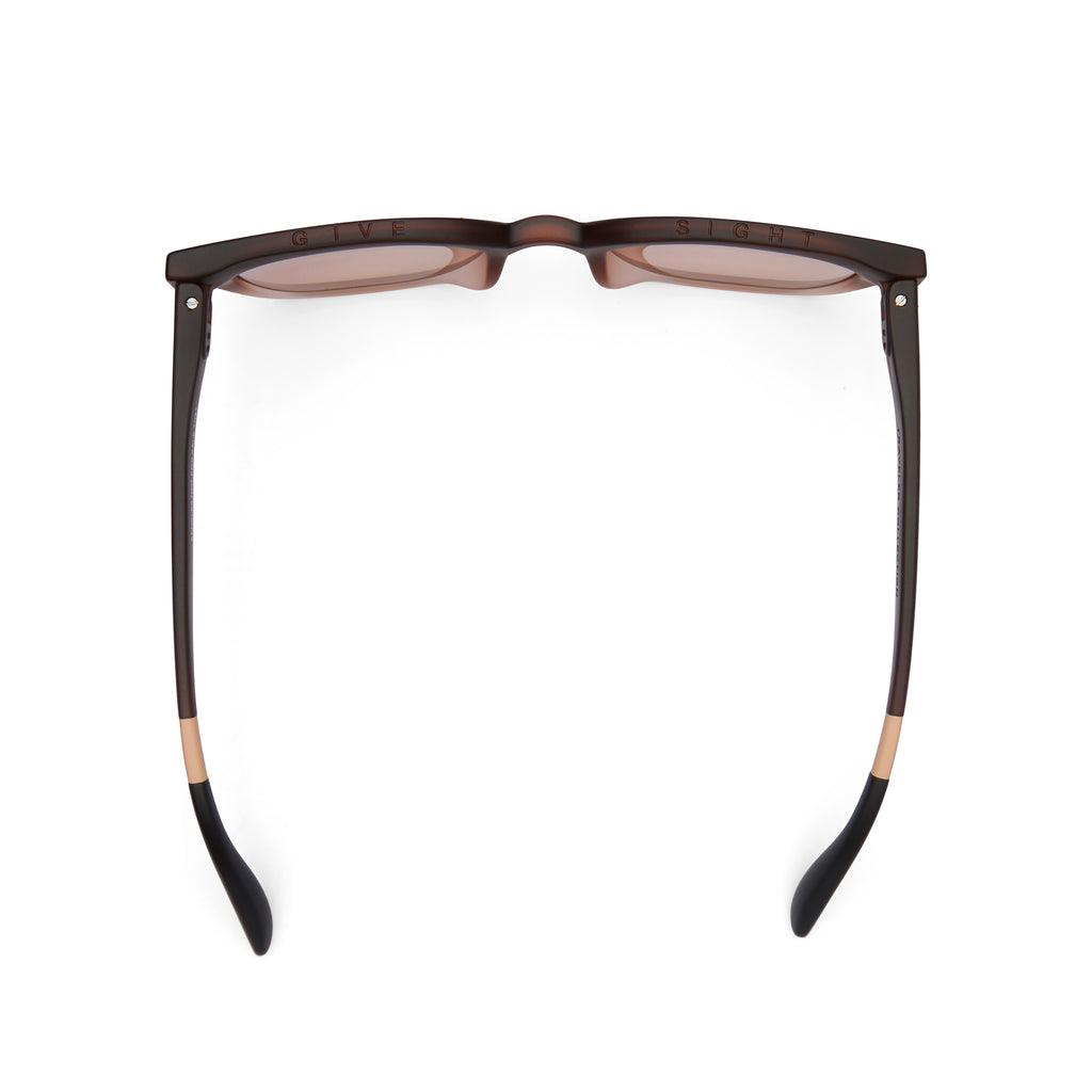 Juniper Ombre Traveler Sunglasses Top View