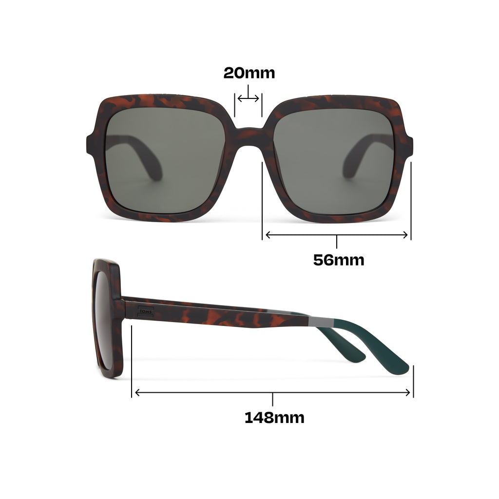 Athena Tortoise Traveler Sunglasses Dimension View