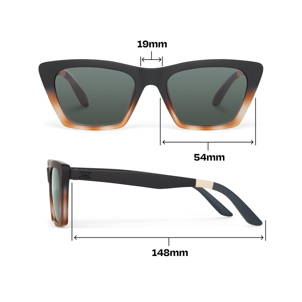 Sahara Black Honey Tortoise Fade Traveler Sunglasses Dimension View