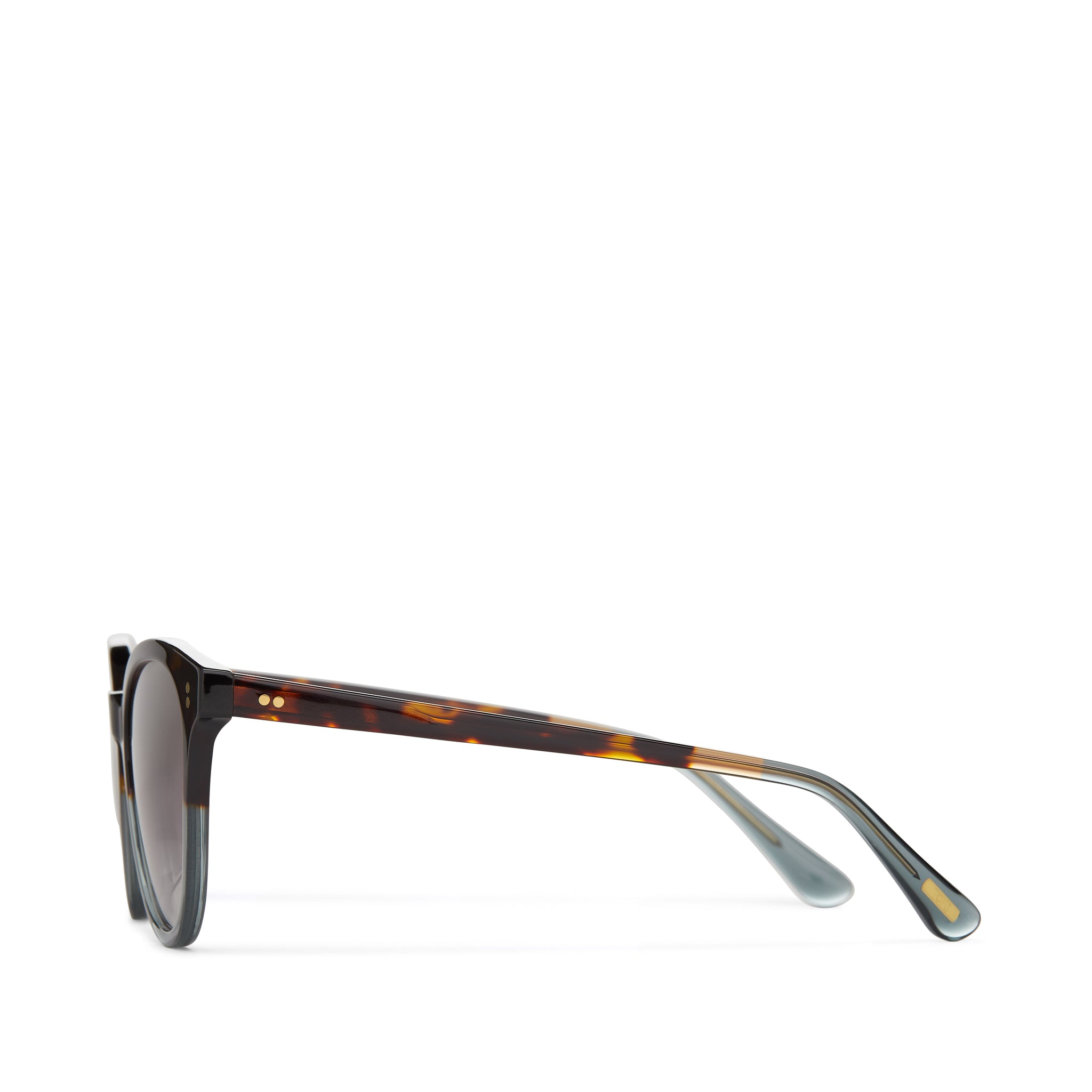 Aaryn Tortoise Ocean Grey Fade Frame and Grey Gradient Lens