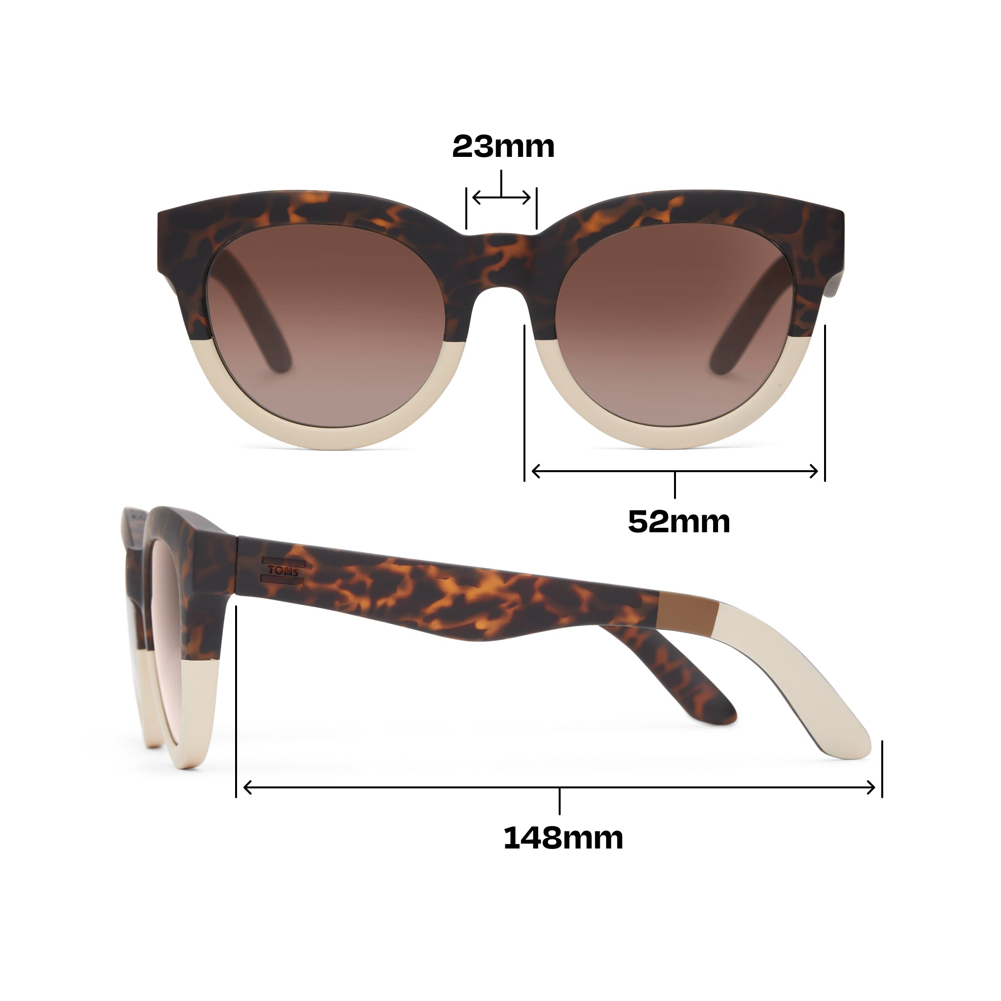 Florentin Tortoise Oatmilk Fade Traveler Sunglasses Dimension View