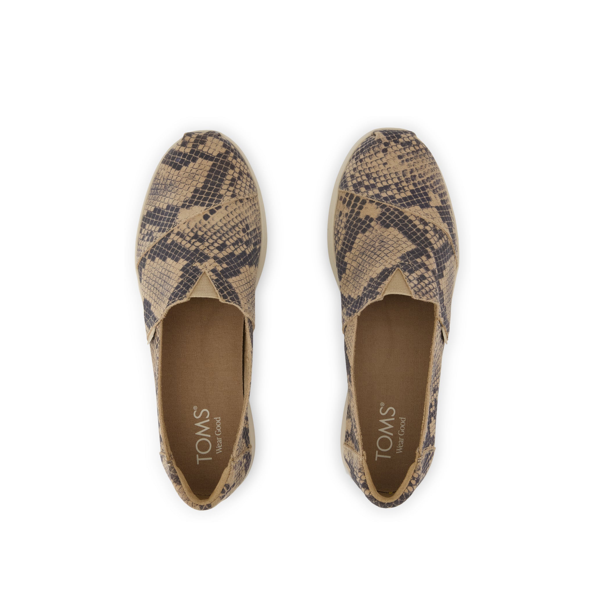 Womens Alpargata Plus Taupe Snake Print Suede – TOMS.com