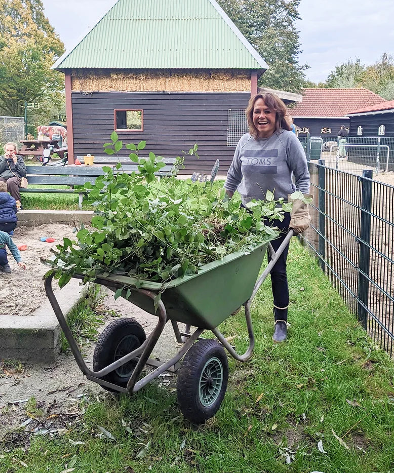 A TOMS employee pushing a wheelbarrow of weeds shown.