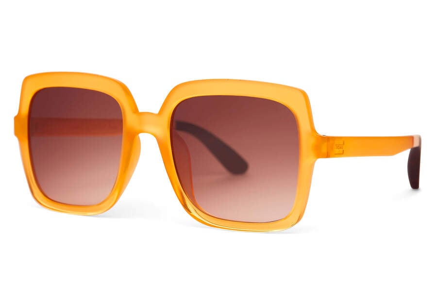Athena Honeycomb Traveler Sunglasses Side View