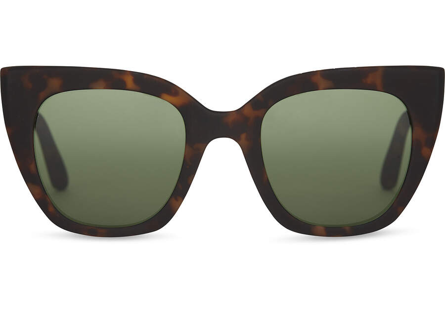 Sydney Tortoise Traveler Sunglasses Front View Opens in a modal