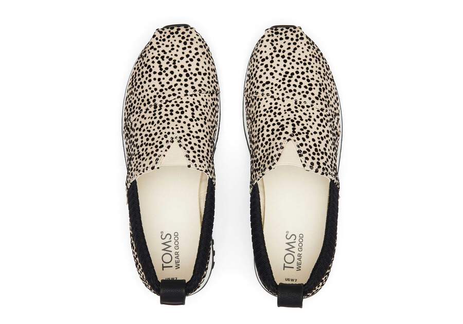 Womens Resident 2.0 Mini Cheetah Print Sneaker | TOMS