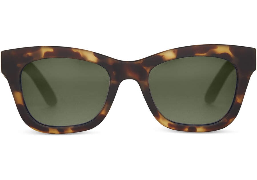 Paloma Tortoise Polarized Traveler Sunglasses Front View Opens in a modal