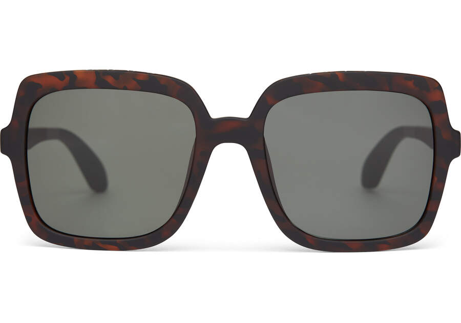 Athena Tortoise Traveler Sunglasses Front View Opens in a modal